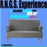 R.N.G.S. Experience