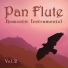 Pan Flute