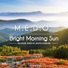 M.E.D.O.