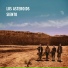 Los Asteroids