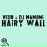 DJ Mamomi & Veon