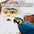 Mikey The Macaw