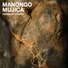 Manongo Mujica feat. Gabriel Mujica