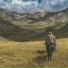 Spirit Animal Meditation Sounds