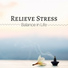 Stress Relief Source