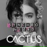 Mr and Mrs Cactus feat. BUHA