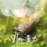 胡小鸥