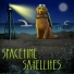 Spacetime Satellites
