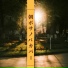ボサノバ Specialists Club 01