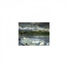 Mindfulness Healing BGM Project