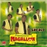 Organización Magallon