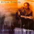 Artie Traum