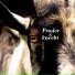 Prader & knecht