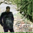 Perry Project