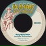 Ray Marable & The Skylanders