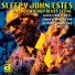 Sleepy John Estes