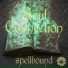 Soul Connection