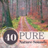 Peter Pure