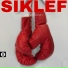 Siklef