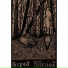 The Symbioz Корча