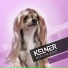 Kelner