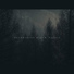 DarkStereo