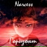 Narcess