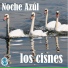 Los Cisnes