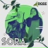 Sora