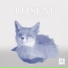Bitsune