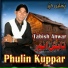 Tabish Anwar