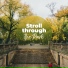 Relaxing Nature Sounds Collection