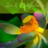 Zen Music Garden
