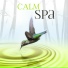 Amazing Spa Universe