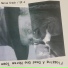 Flogging A Dead One Horse Town