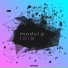 Modul P