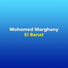 Mohamed Marghany
