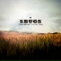 5Bugs