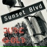 Jude Gold