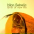 Nino Sebelic