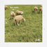 Music to make babies to