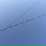 dattaidied