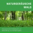 Wald Grundschule