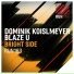 Dominik Koislmeyer, Blaze U