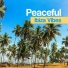 Hawaii Chillout Music