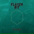 flayer bit