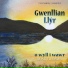 Gwenllian Llŷr