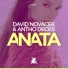 David Novacek, Antho Decks