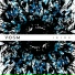 VOSM