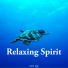 Fortepian Lovers & Relaxing Music Spirit